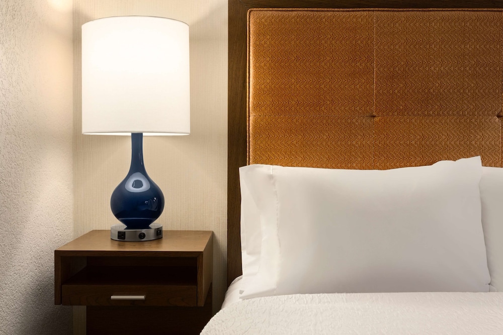 Suite, 1 King Bed, Accessible (Mobility & Hearing, Roll-in Shower) photo 1