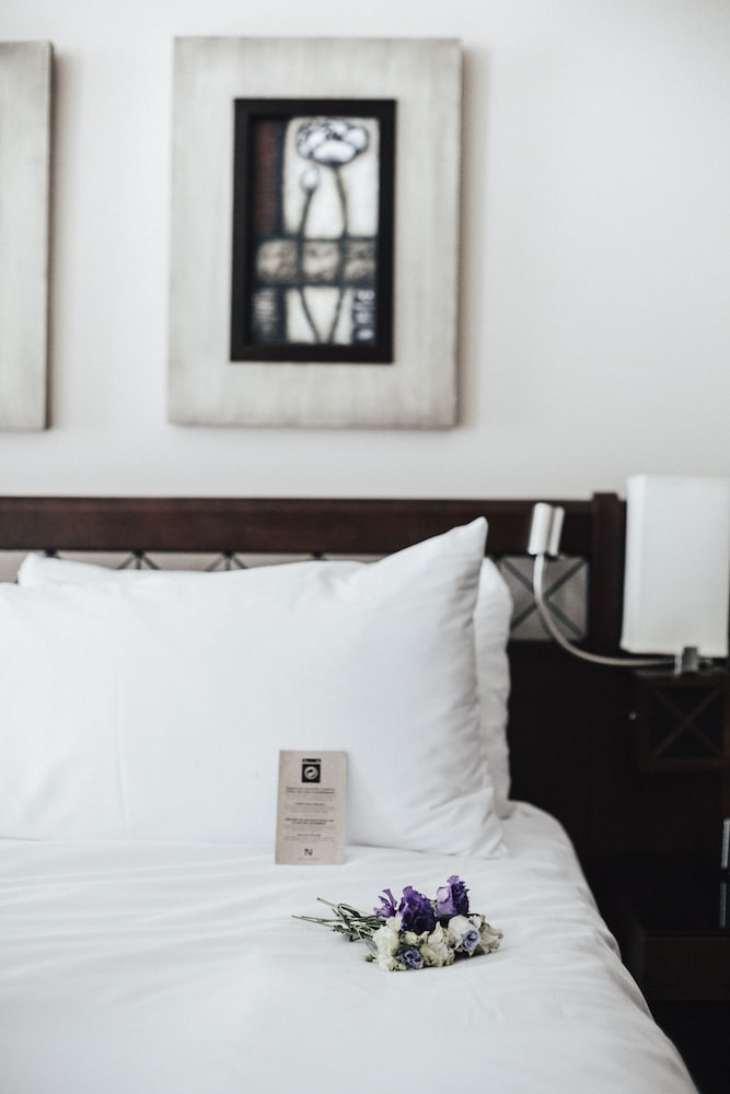 Romance Suite photo 2