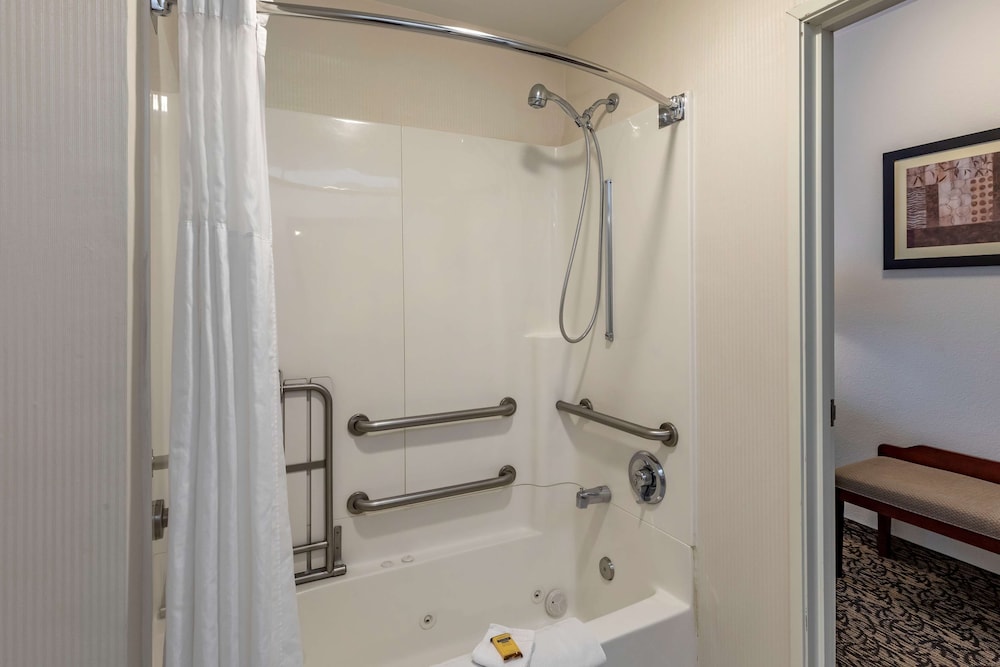 Standard Room, 1 King Bed, Accessible, Bathtub - Photo 4