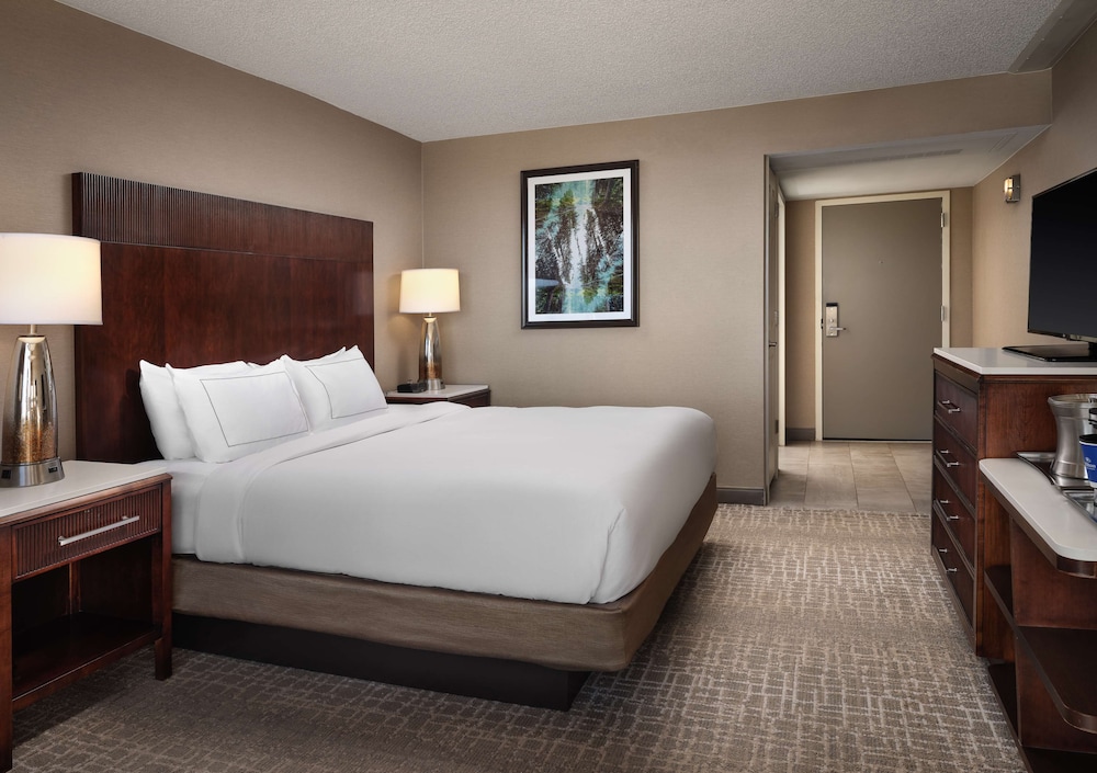 Room, 1 King Bed, Accessible (Mobility & Hearing) - Photo 7