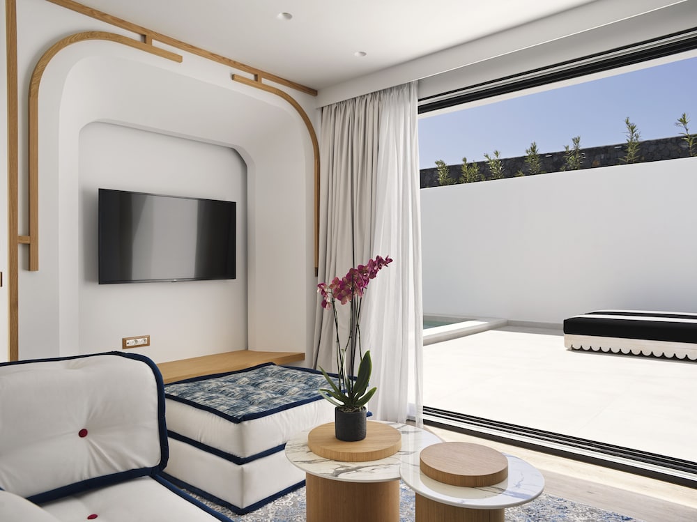 Senior Suite with Inner Courtyard View & Plunge Pool - Photo 4