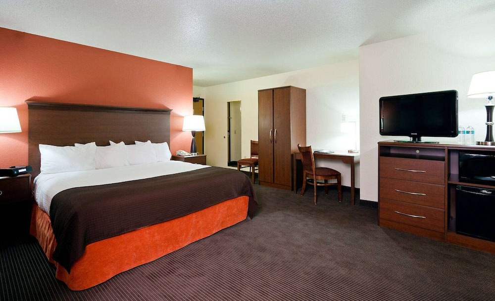 Premier Suite, 1 King Bed, Non Smoking (One-Bedroom)