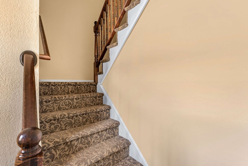 4 BEDROOM 2KG 1QN 2TWN 2 SOFABEDS 2 STORY STE - Photo 3