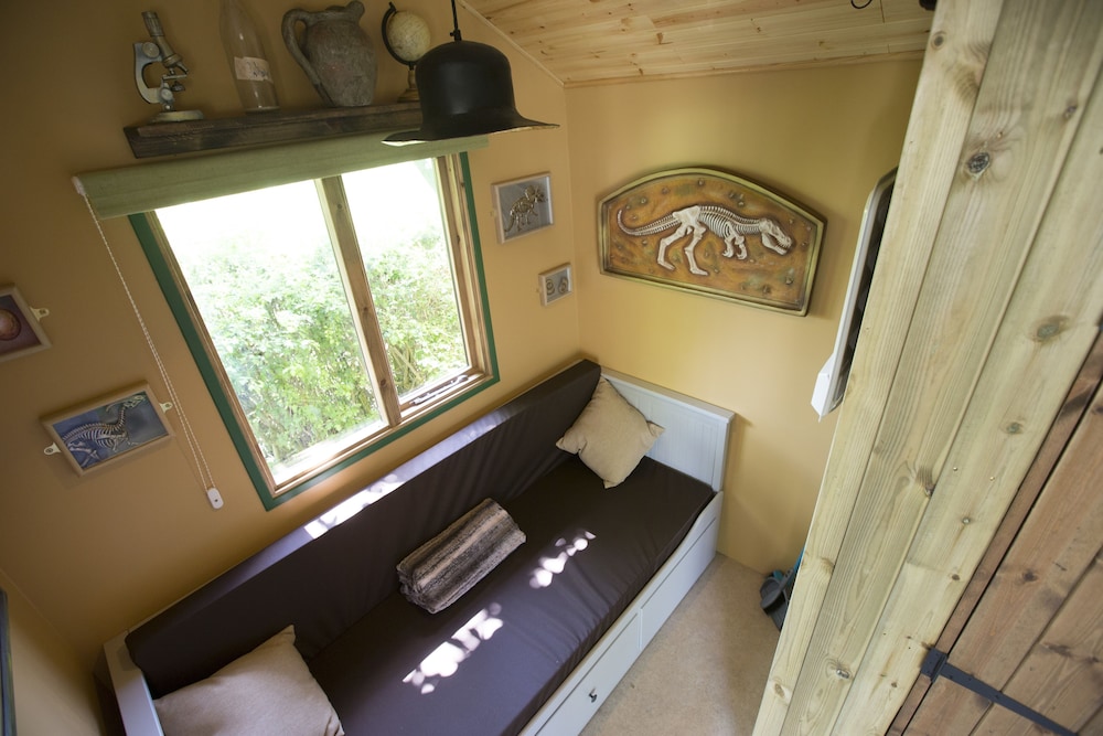 Comfort Room, 1 Bedroom photo 1