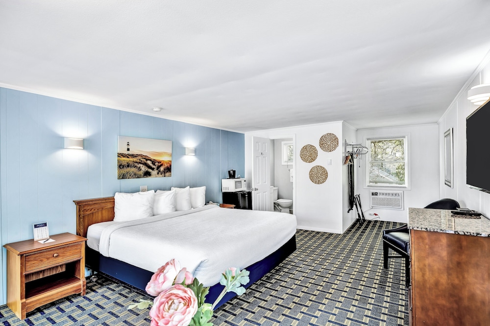 Standard Single Room, 1 King Bed photo 3