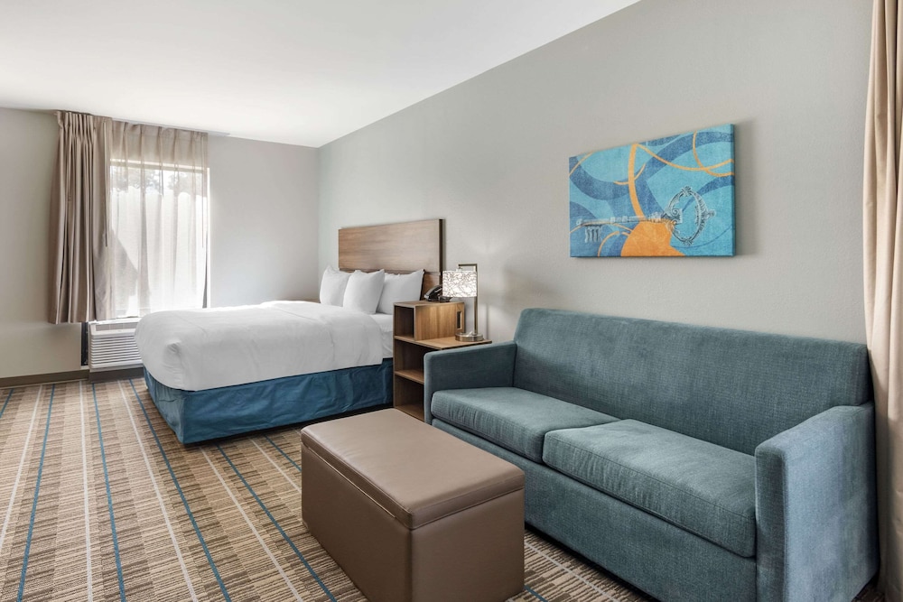 Suite, 1 King Bed with Sofa bed, Non Smoking (Efficiency) - Photo 1
