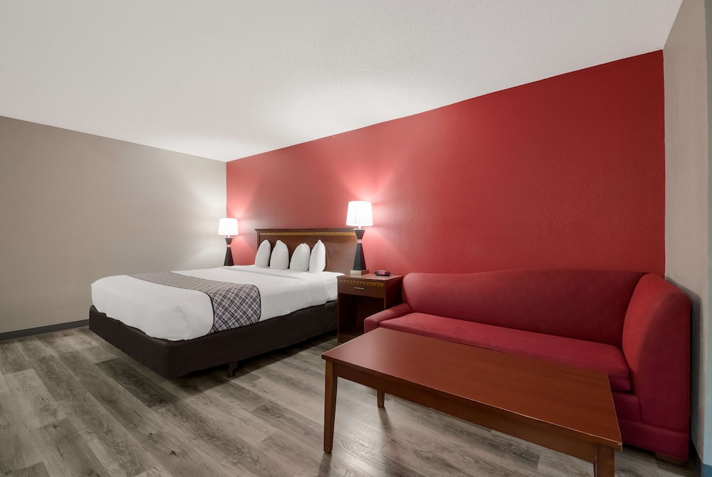 Standard Room, 1 King Bed, Non Smoking, Refrigerator & Microwave (with Sofabed) - Photo 2