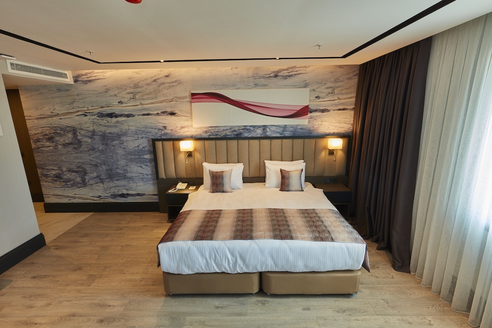 Room, 1 Double Bed, Accessible (Mobility) photo 3