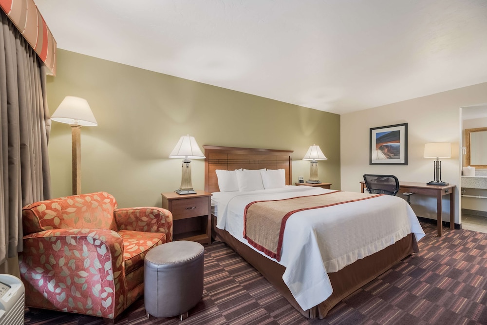 Standard Room, 1 King Bed, Non Smoking, Refrigerator & Microwave photo 1