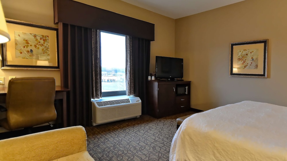 Room, 1 King Bed photo 3