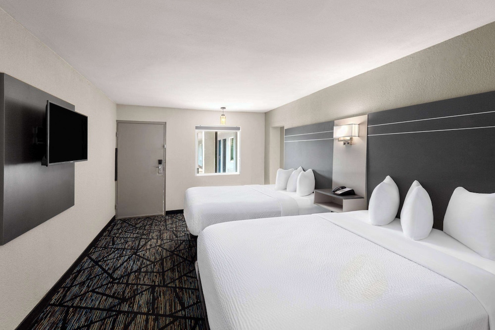 Suite, 1 Bedroom, Non Smoking - Photo 4