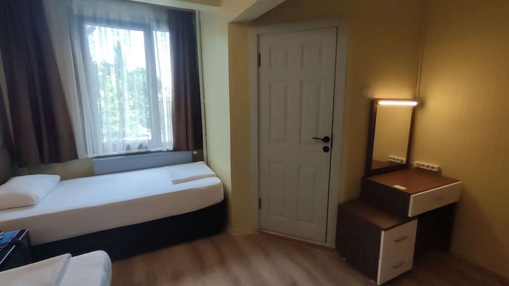 Deluxe Twin Room, Multiple Beds, Park View photo 3