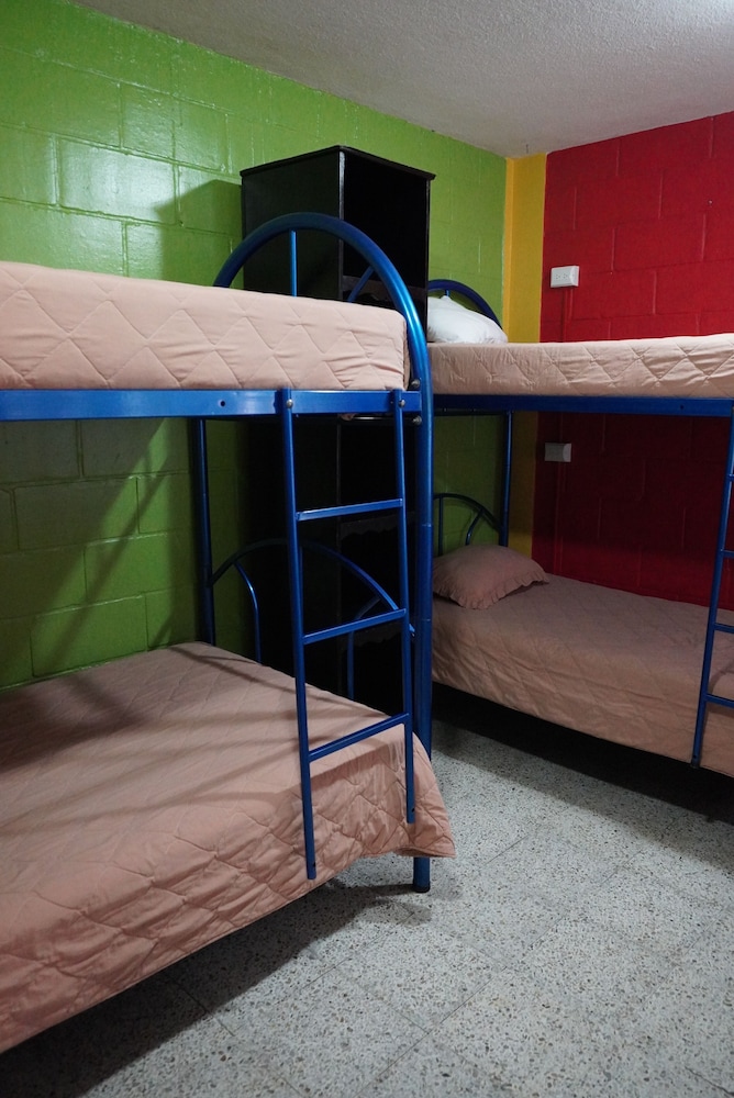 Shared Dormitory photo 2
