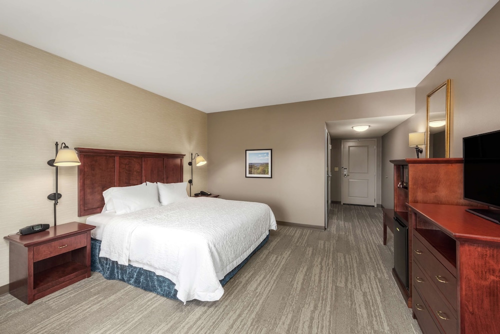 Room, 1 King Bed, Accessible - Photo 1
