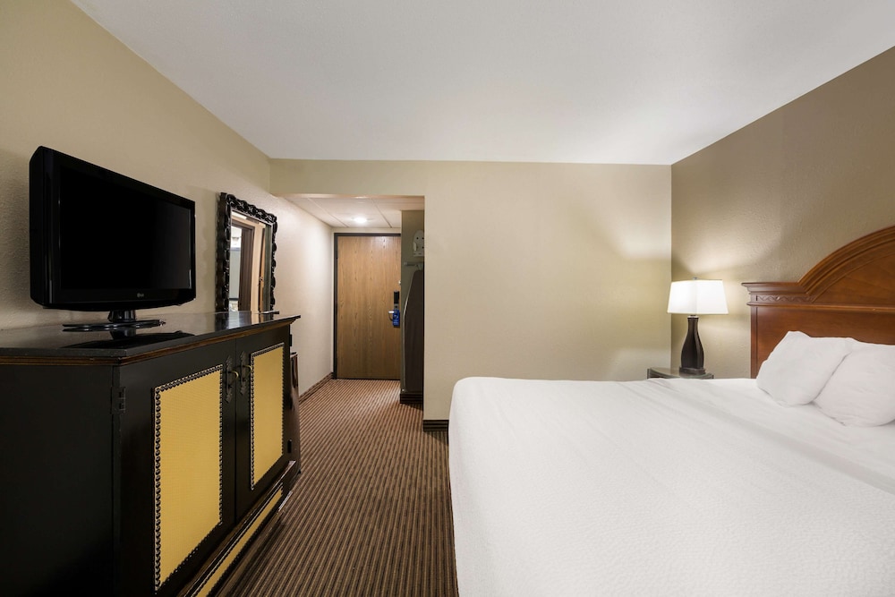 Standard Room, 1 King Bed, Accessible, Refrigerator & Microwave - Photo 3
