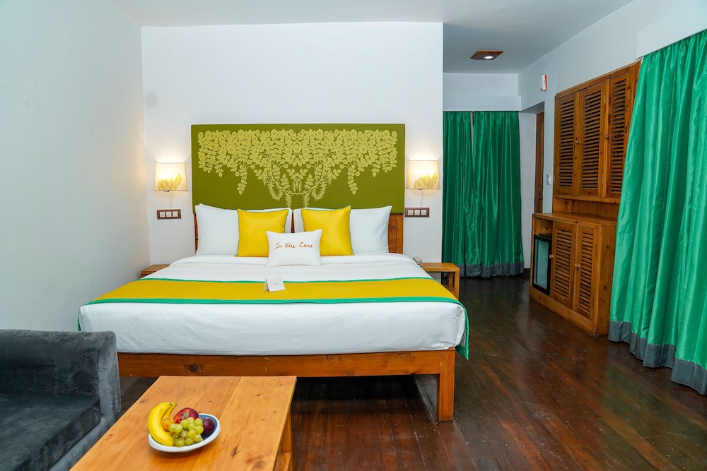 Basic Room, 1 Double Bed photo 3
