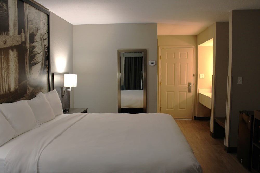 Single Room, 1 King Bed, Non Smoking (Guestroom) - Photo 5