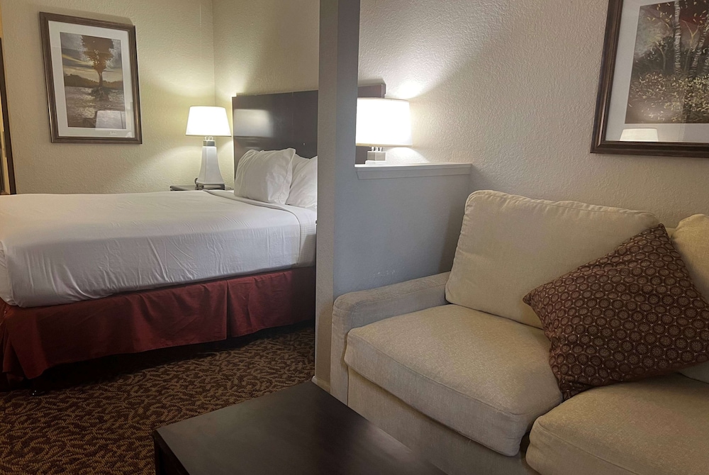 Deluxe Room, 1 King Bed, Accessible, Non Smoking (Mobility,Hearing, Roll-In Shower)