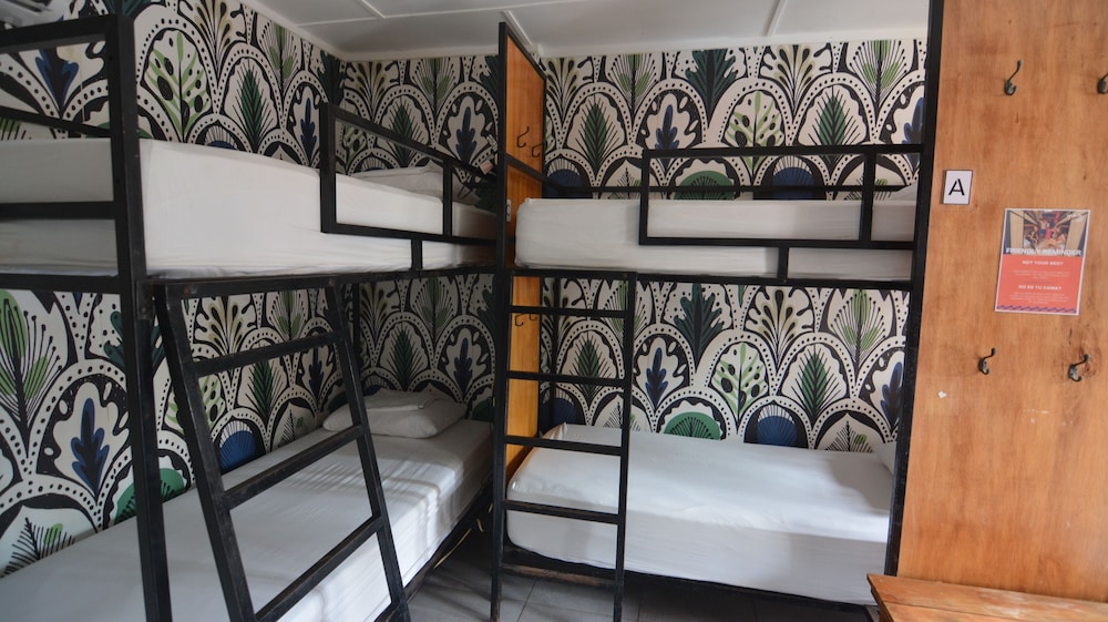 Shared Dormitory, Multiple Beds photo 3