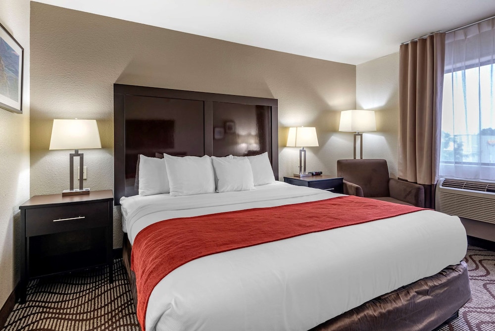 Room, 1 Queen Bed, Accessible, Non Smoking - Photo 3
