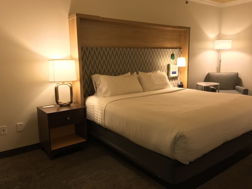 Suite, 1 King Bed - Photo 4