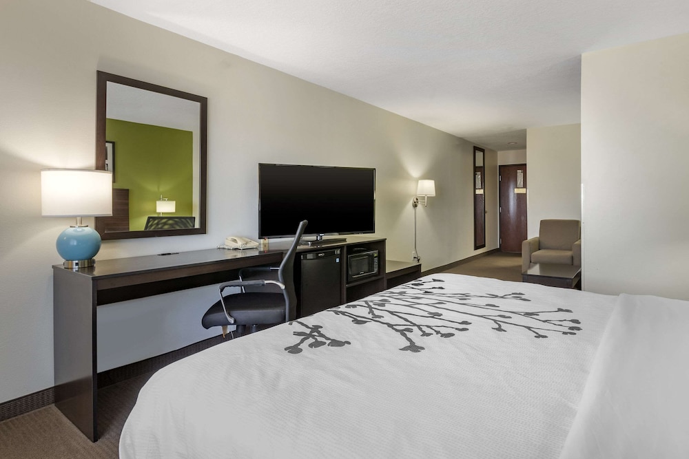 Standard Room, 1 King Bed, Non Smoking - Photo 1