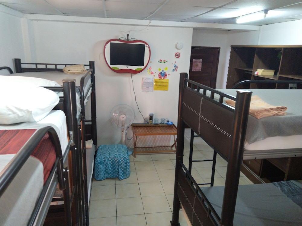 Shared Dormitory, Shared Bathroom photo 2