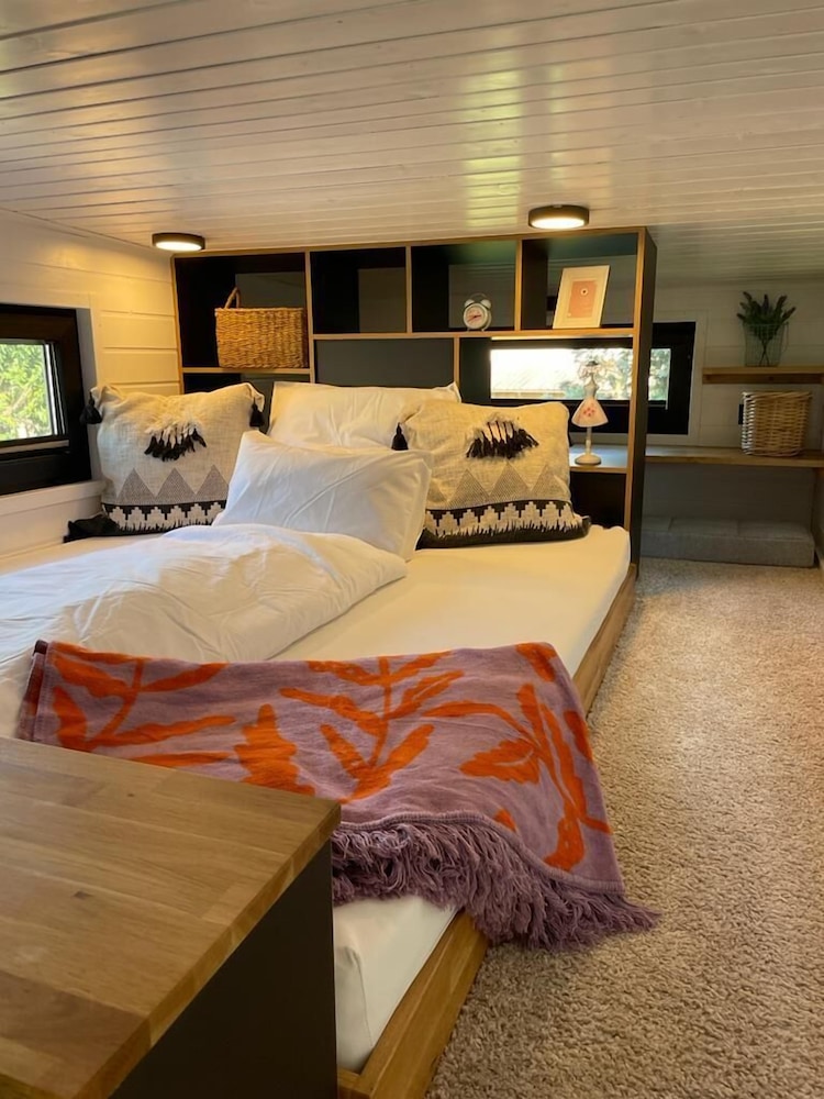 Standard Cabin, Multiple Beds photo 2