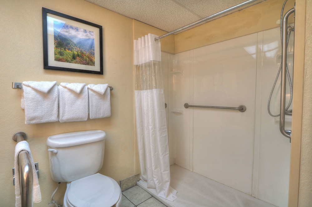 Edgewater Hotel - Gatlinburg, Billede 3