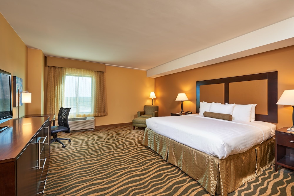 Standard Room, 1 King Bed, Non Smoking photo 1