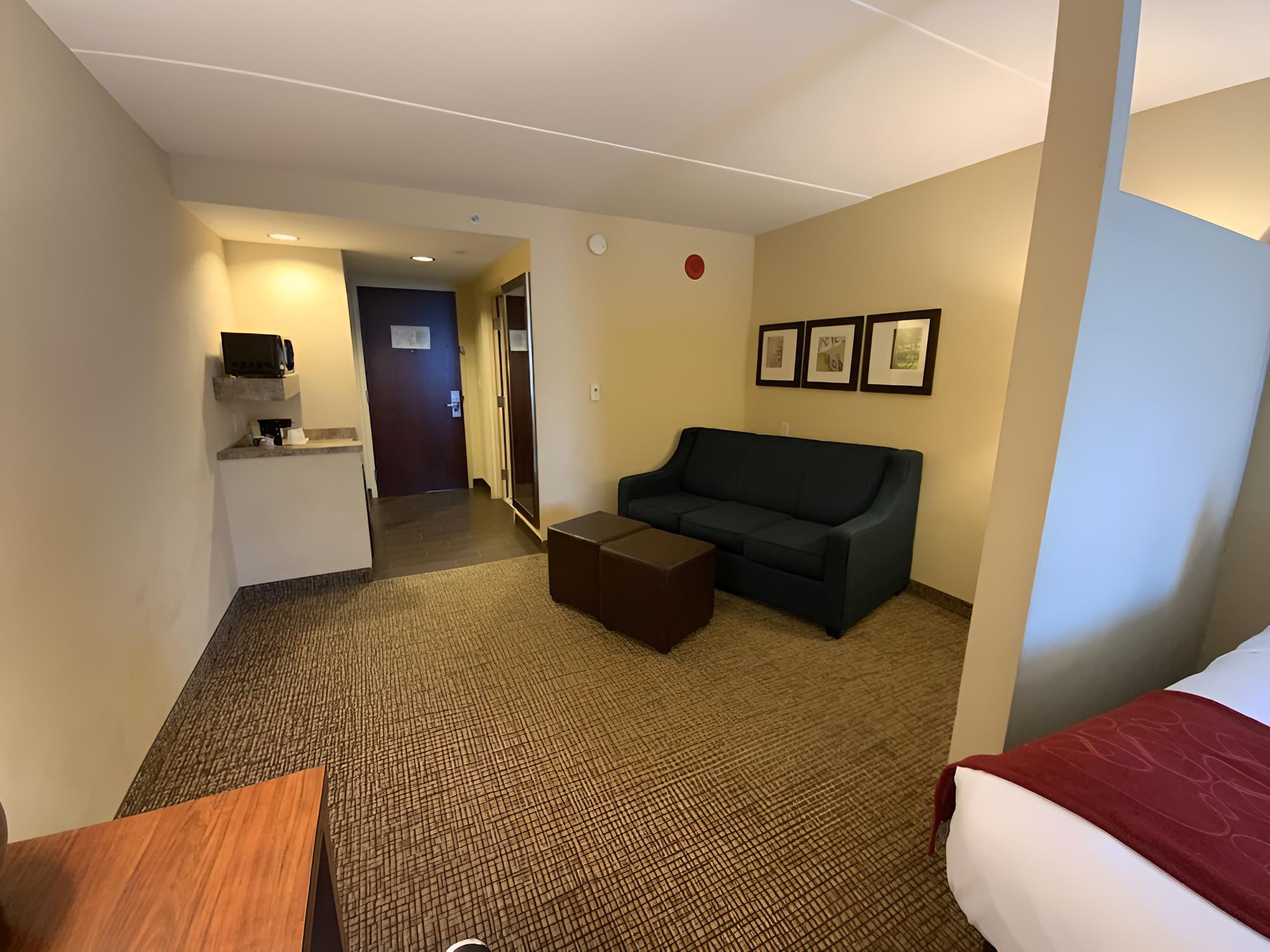 1 King Bed with Double Sized Sofa bed, Accessible, Non Smoking - Photo 3