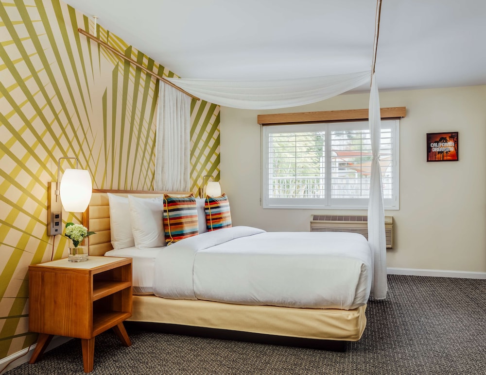 Basic Suite, 1 Bedroom (1 King Bed & 1 Sofa Bed) - Photo 4