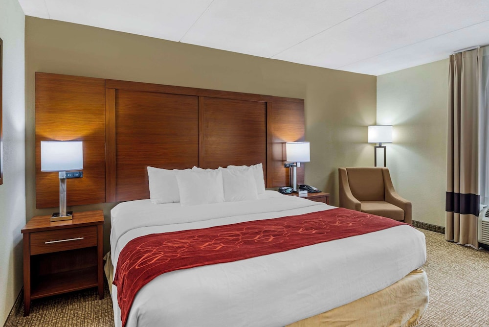 Standard Studio Suite, 1 King Bed, Non Smoking photo 1