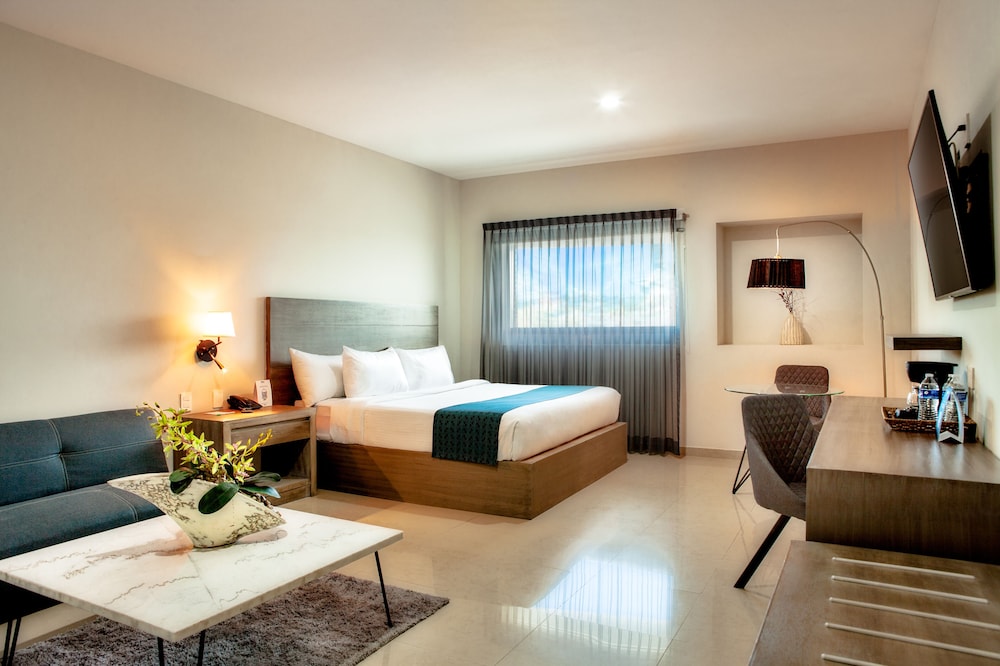 Junior Studio Suite