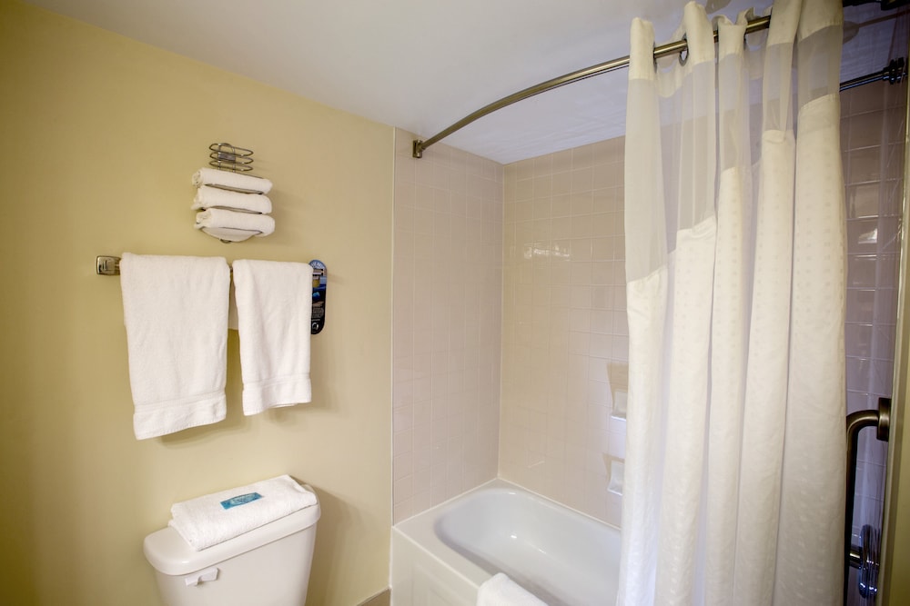 Suite, Multiple Beds