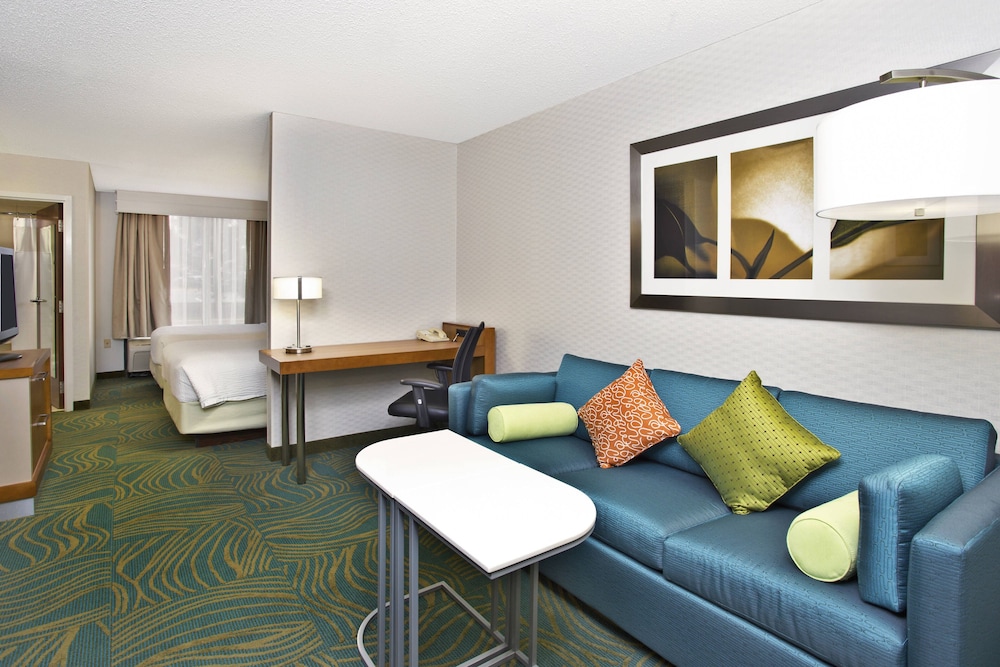 Studio, 2 Double Beds - Photo 3