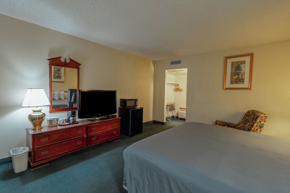 Room, 1 King Bed, Non Smoking