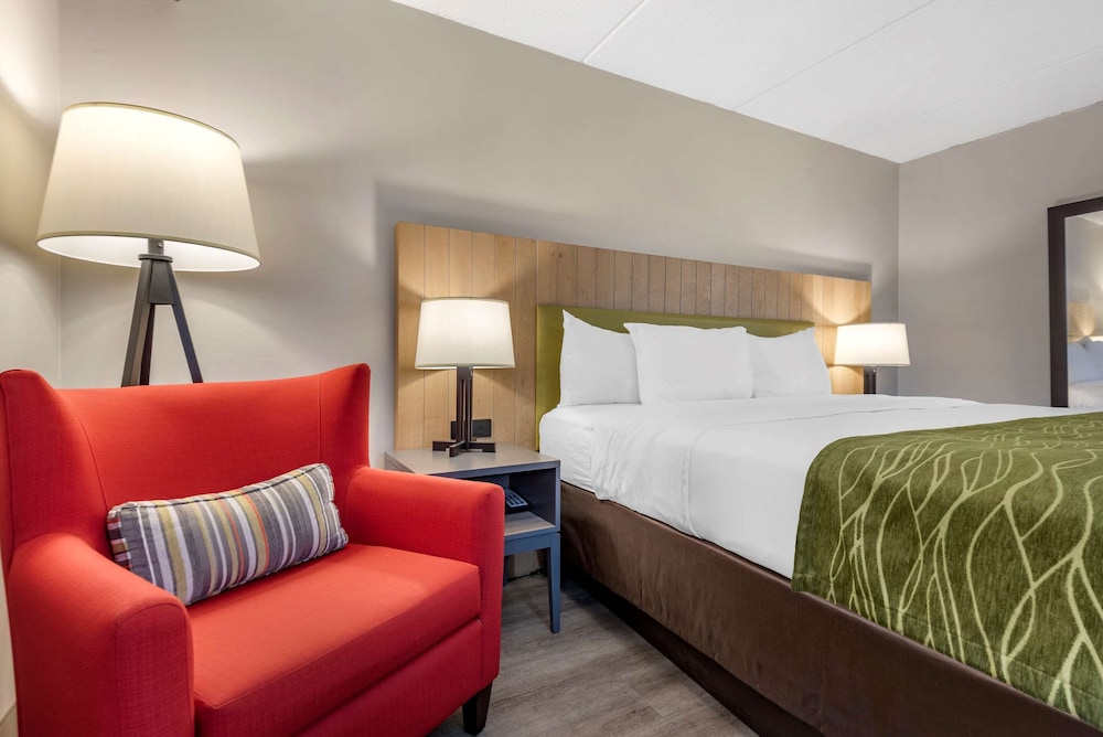 Standard Room, 1 King Bed, Non Smoking - Photo 3