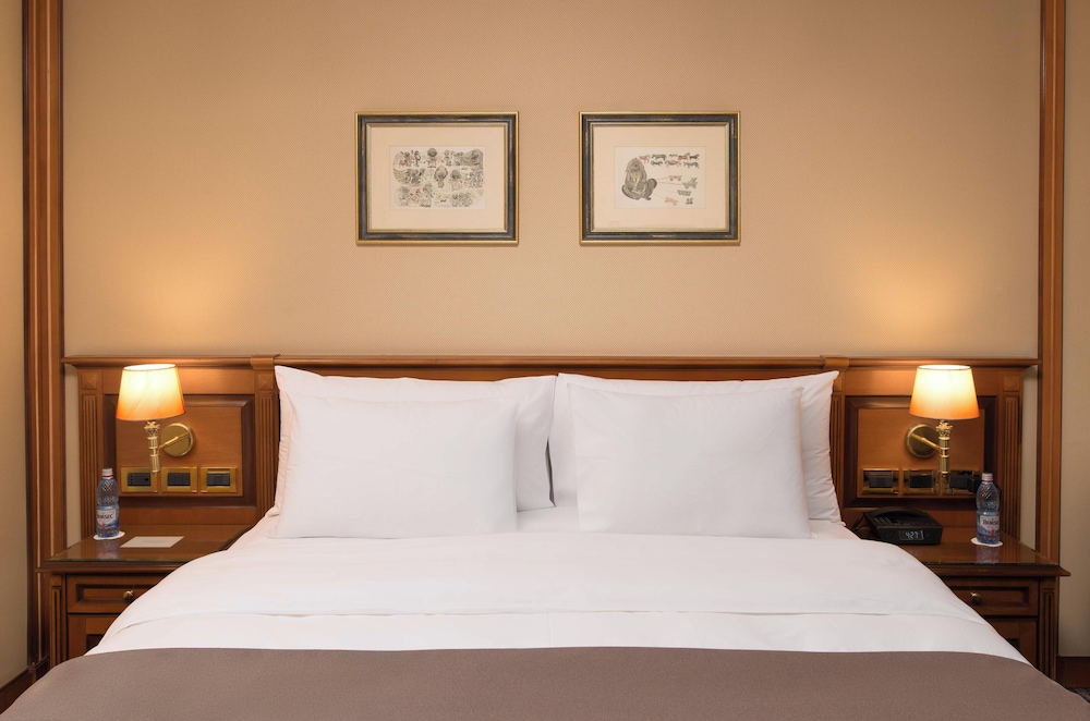Deluxe Room, 1 Queen Bed photo 1
