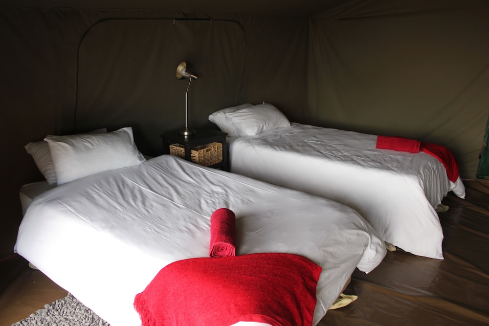 Tented Room