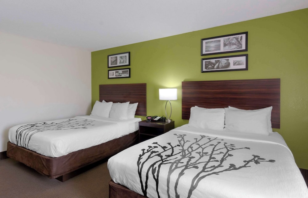 Standard Room, 1 Queen Bed, Non Smoking photo 1