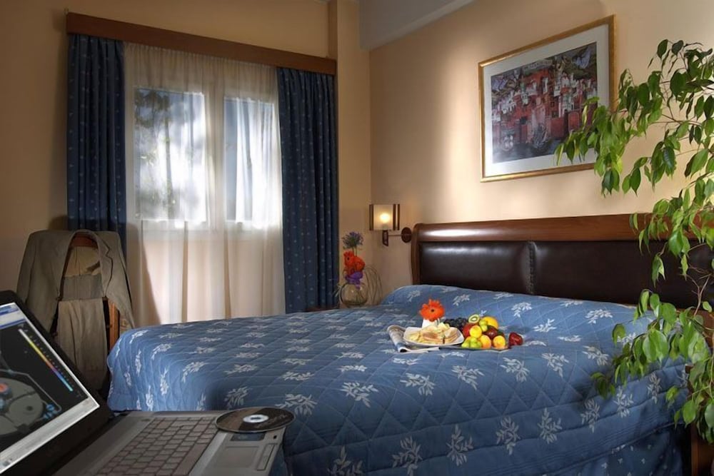 Deluxe Double Room Single Use photo 1