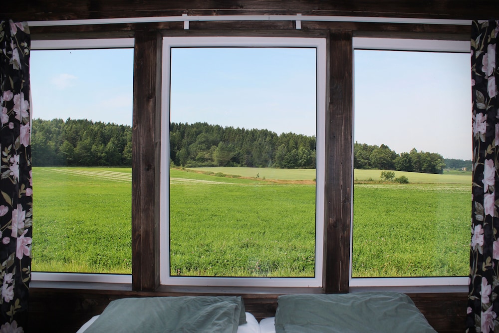 Basic Cabin