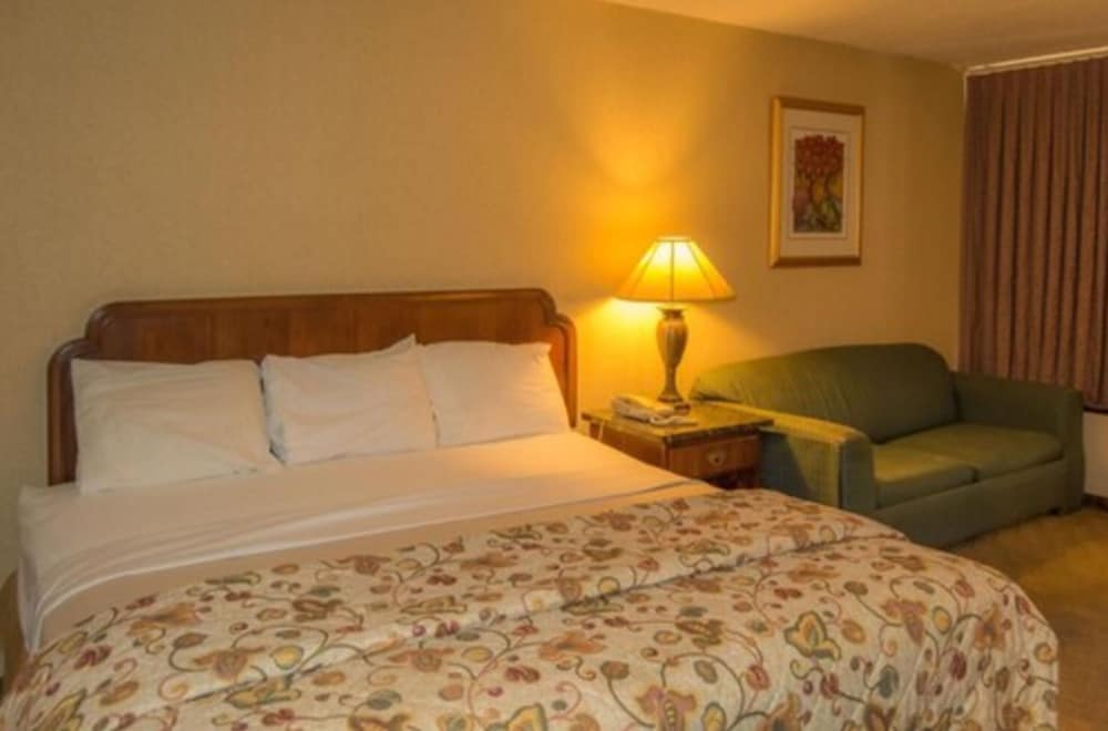 Standard Room, 1 King Bed photo 1