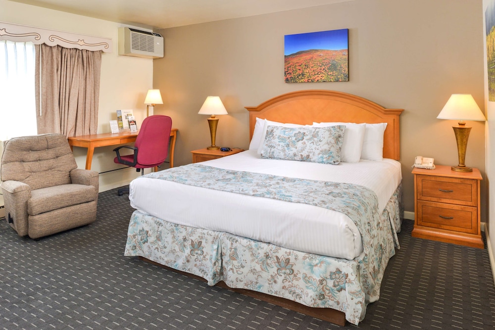 Suite, 1 King Bed - Photo 1