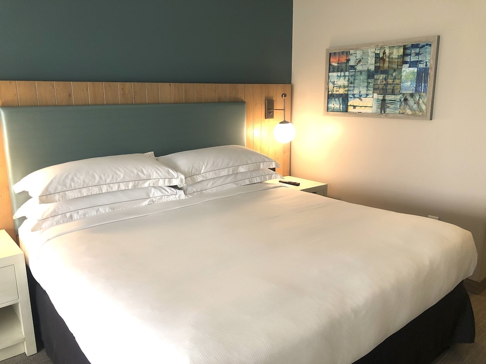 Room, 1 King Bed photo 3