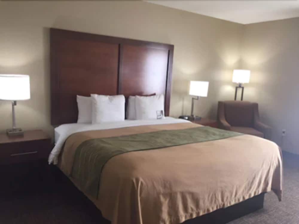 Standard Room, 1 King Bed, Non Smoking - Photo 1