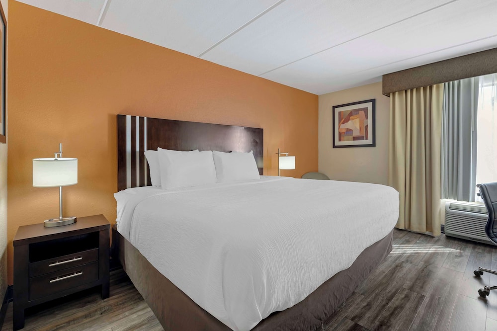 Standard Room, 1 King Bed, Accessible, Non Smoking photo 1