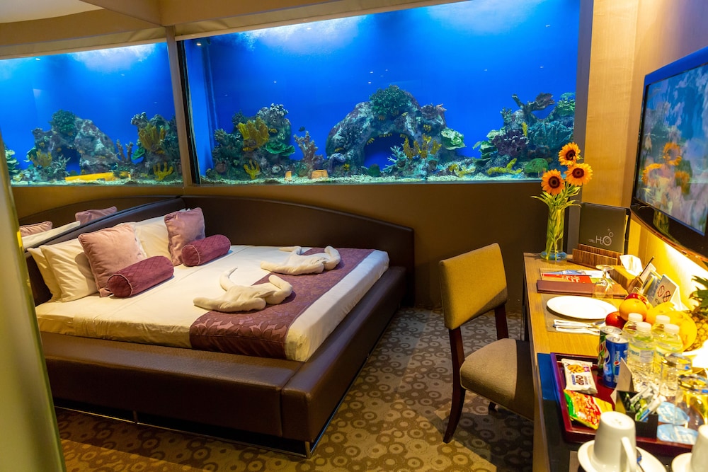 Aqua Room - Photo 6