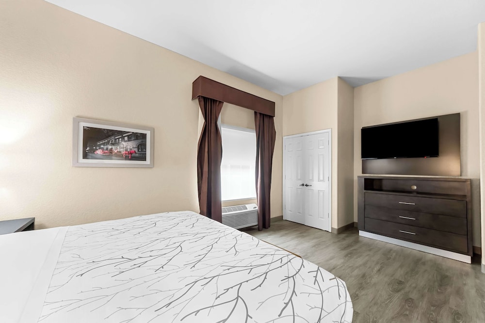 Suite, 1 King Bed, Accessible, Non Smoking (with Sofabed) - Photo 3